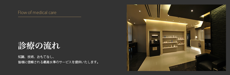 ブリスクリニック診療の流れ